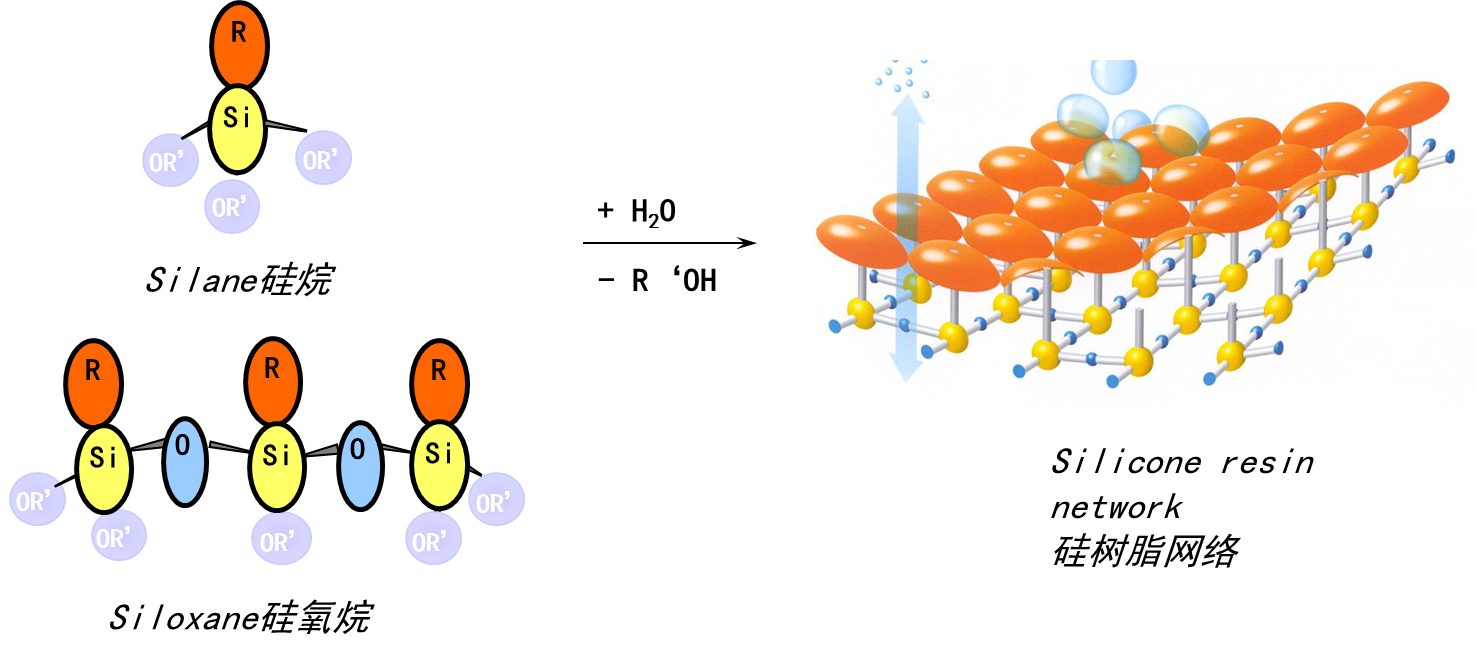 Pendant Amine Dimethyl Copolymers