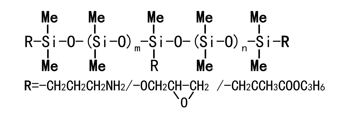 Pendant Amine Dimethyl Copolymers